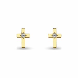 FAVS Ohrstecker 88250028 Edelstahl