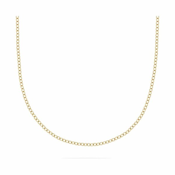 FAVS Kette 88456033 375er Gelbgold
